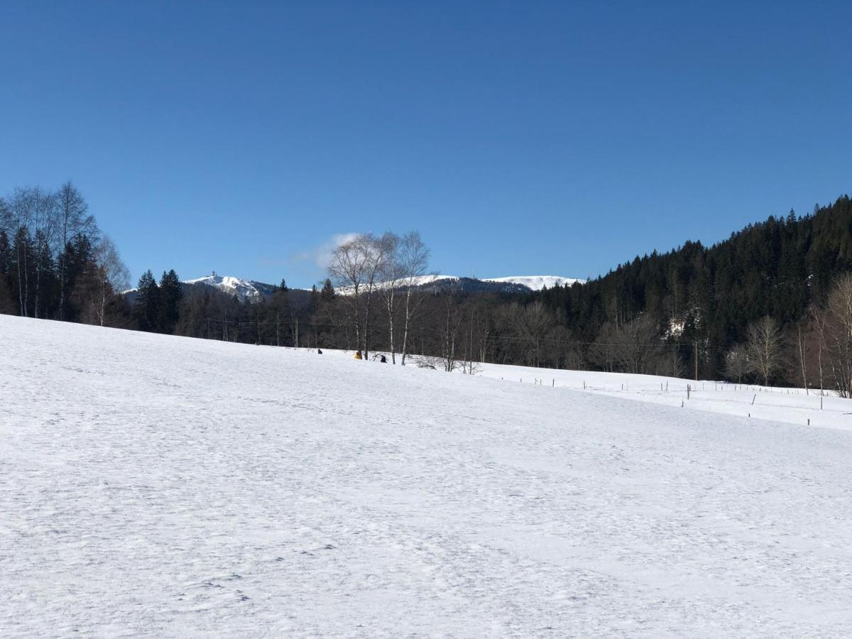 Gaestehaus Lickert Ferienwohnung Sued Feldberg Hinterzarten Exteriör bild