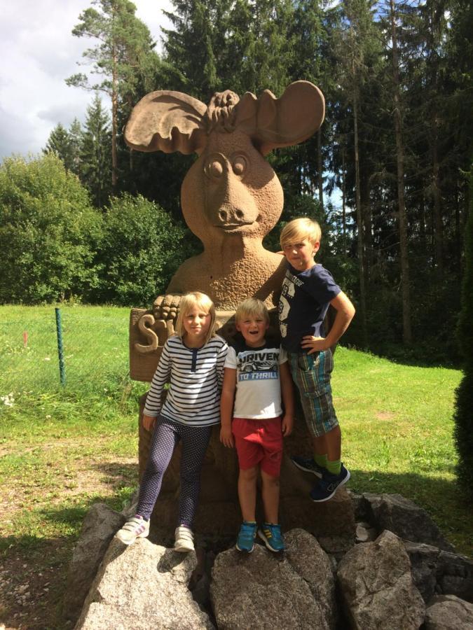 Gaestehaus Lickert Ferienwohnung Sued Feldberg Hinterzarten Exteriör bild