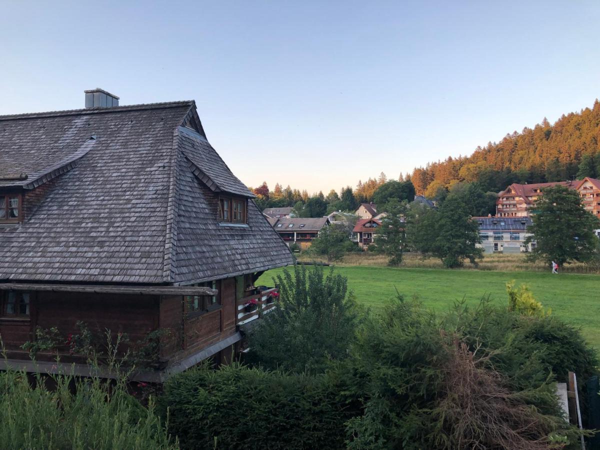 Gaestehaus Lickert Ferienwohnung Sued Feldberg Hinterzarten Exteriör bild