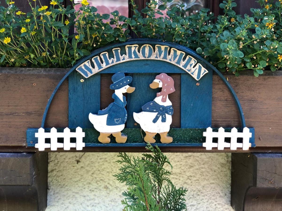 Gaestehaus Lickert Ferienwohnung Sued Feldberg Hinterzarten Exteriör bild